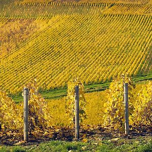 Best Western Le Relais du Vigneron